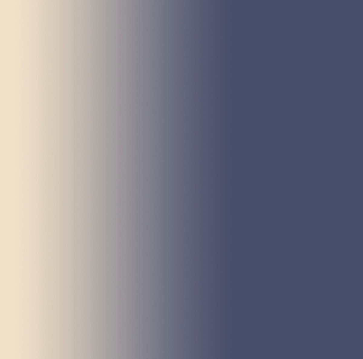 画像5: 【BYPLIE 】 OMBRE BOAT NECK LEOTARD (5)