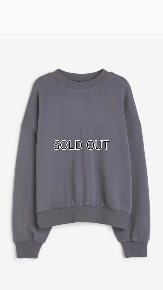 画像3: 【entrechat】 Ballerina5 トレーナー (3)