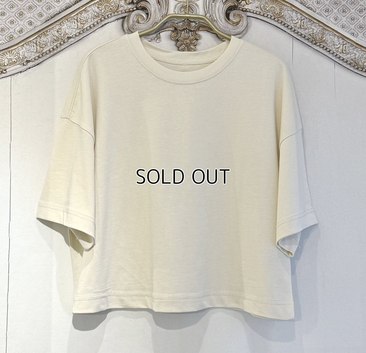 画像5: 【entrechat】  〈 Pointe shoes 〉半袖コットントレーナー (5)