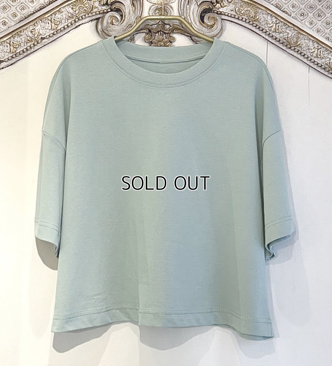 画像7: 【entrechat】  〈 Pointe shoes 〉半袖コットントレーナー (7)