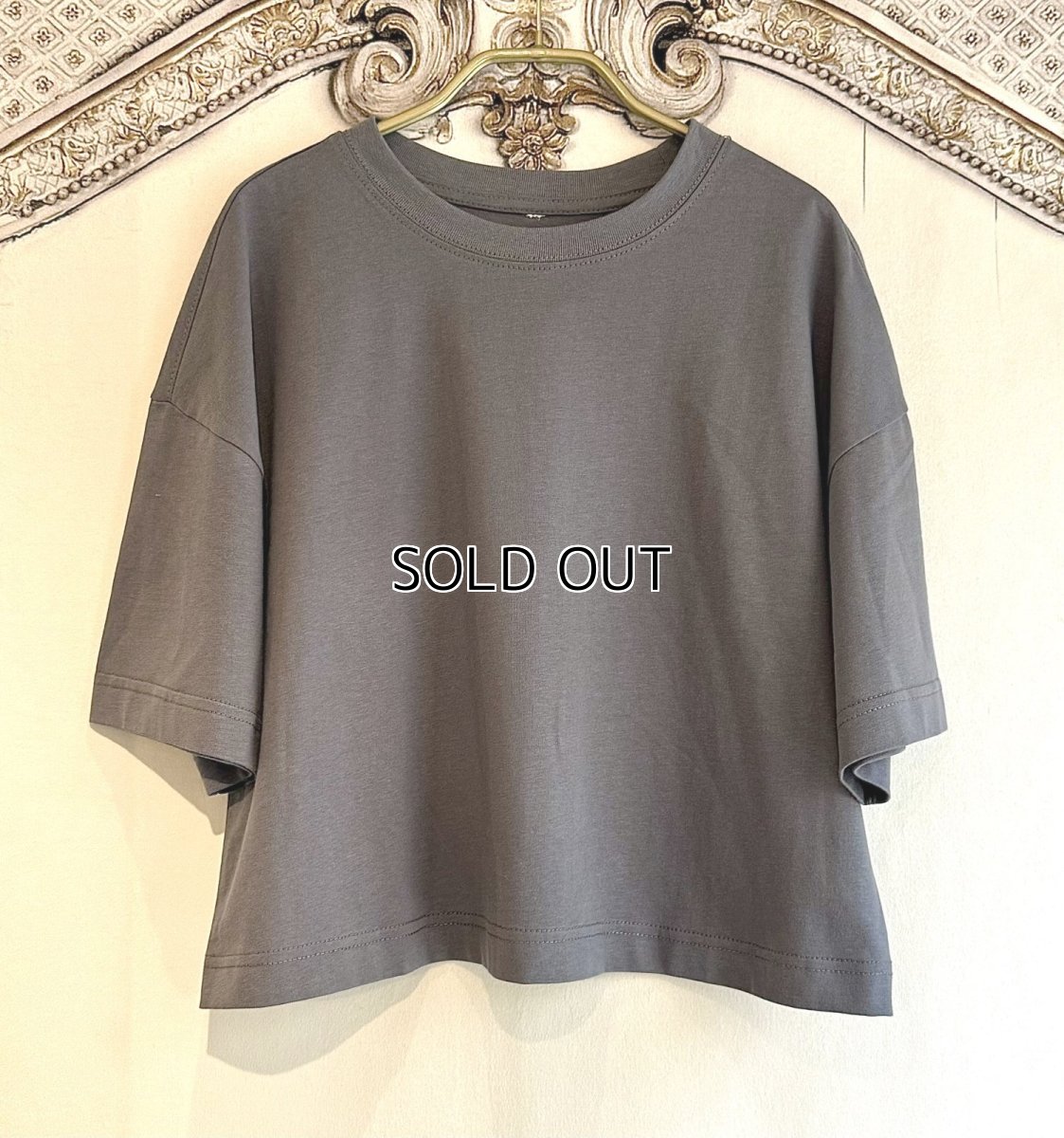 画像9: 【entrechat】  〈 Pointe shoes 〉半袖コットントレーナー (9)