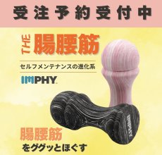 画像1: 【受注予約】【インフィ】THE腸腰筋 (1)