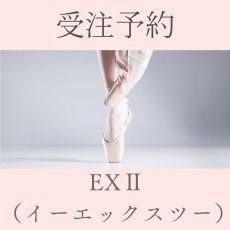 画像1: 【受注予約】EXII ★加工なし★ (1)