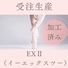 画像1: 【受注予約】EXII ★フィット加工あり★ (1)