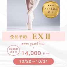 画像1: 【受注予約】EXII ★フィット加工あり★ (1)