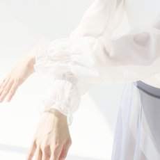 画像14: 【messiah】 Juliet Leotard　 (14)