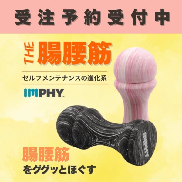 受注予約【インフィ】THE腸腰筋 3月下旬〜4月上旬順次、発送 - バレエ