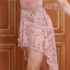 画像1: 【iiLaire】 Eline Mesh Skirt (1)