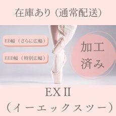 画像1: 【EXII】 ★フィット加工あり★EE/EEE幅 (1)