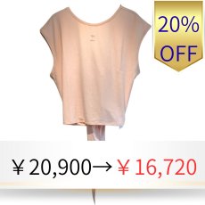 画像1: 【repetto】  バレエトップ (1)