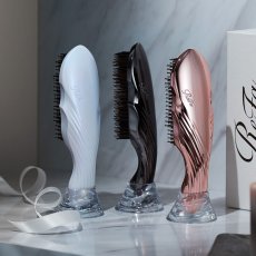 画像1: 【ReFa】ION CARE BRUSH PREMIUM (1)