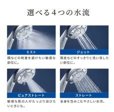 画像3: 【ReFa】FINE BUBBLE PURE (3)