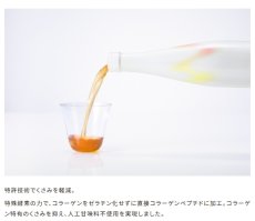 画像3: 【ReFa】ReFa HARI KEEP COLLAGEN (3)