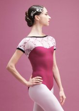 画像3: 受注予約【DellaLoMILANO】Holiday Capsule　Minerva 2017 (3)