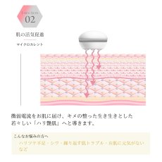 画像4: 【BELEGA】CELL CURE 4T PLUS  セルキュア4Tプラス (4)