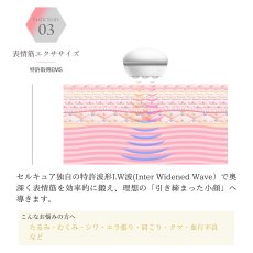 画像5: 【BELEGA】CELL CURE 4T PLUS  セルキュア4Tプラス (5)