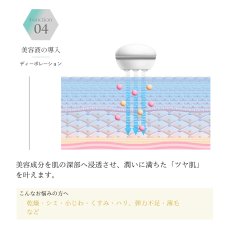 画像6: 【BELEGA】CELL CURE 4T PLUS  セルキュア4Tプラス (6)