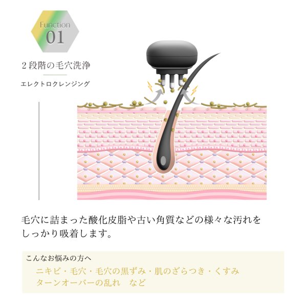 BELEGA】CELL CURE 4T ＋＋ セルキュア4Tプラスプラス - バレエ専門店