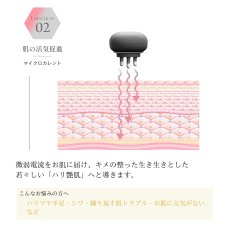 画像3: 【BELEGA】CELL CURE 4T ＋＋   セルキュア4Tプラスプラス (3)