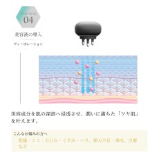 画像5: 【BELEGA】CELL CURE 4T ＋＋   セルキュア4Tプラスプラス (5)