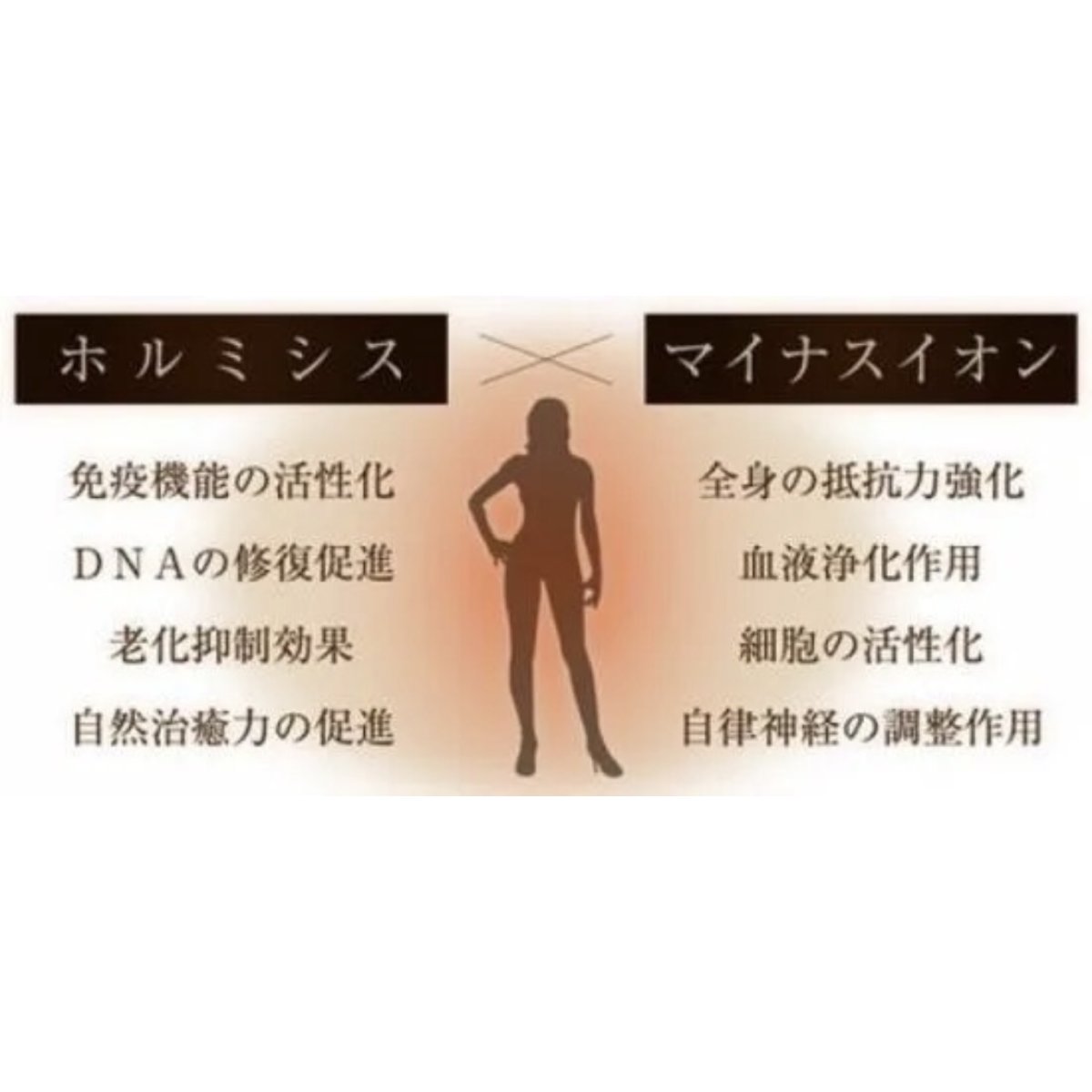 画像3: 【BELEGA】痩身器 フェアリーヴェールプレミアム (3)