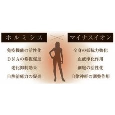 画像3: 【BELEGA】痩身器 フェアリーヴェールプレミアム (3)