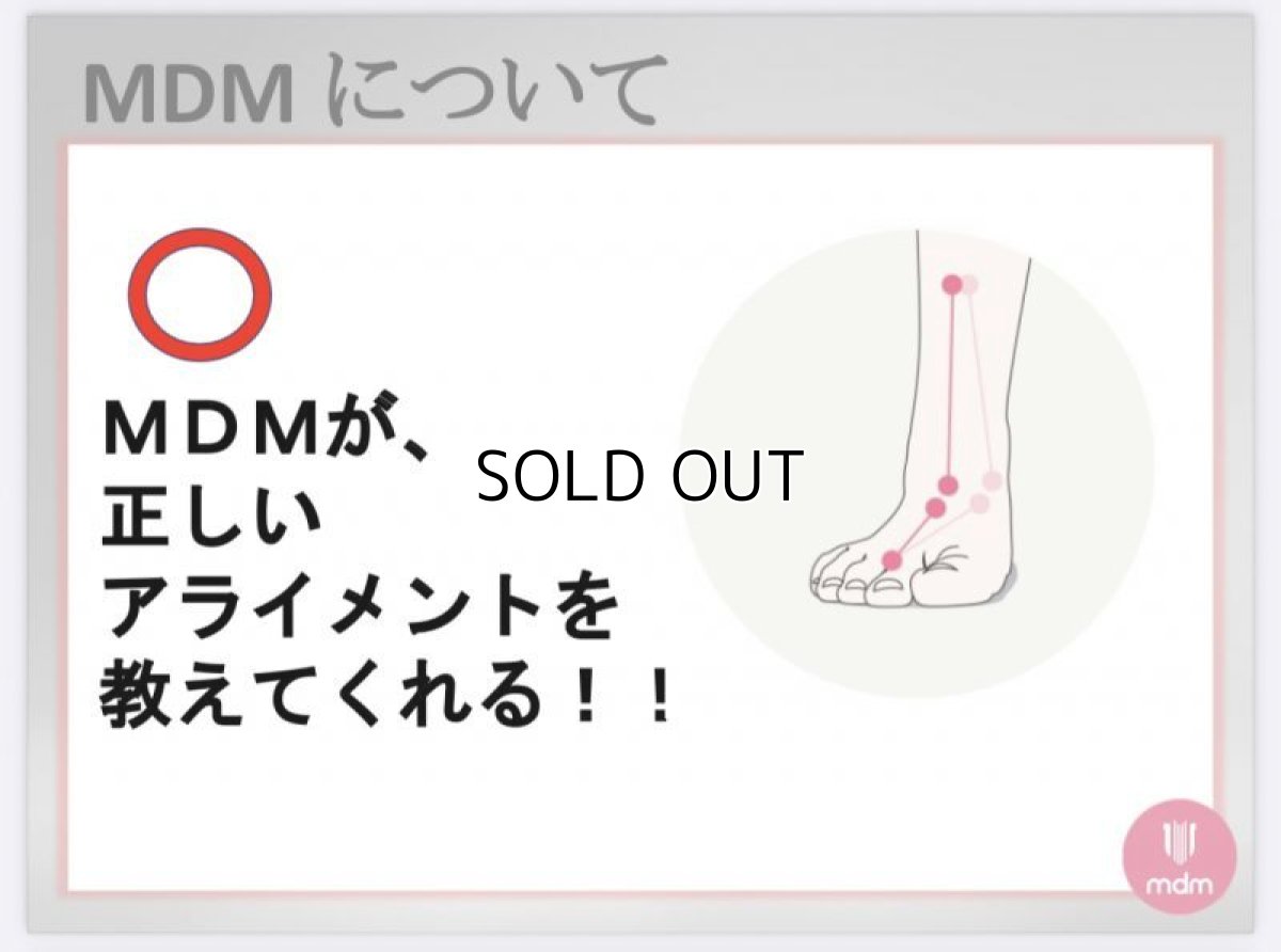 画像6: B品【MDM】 (3) Professional (6)