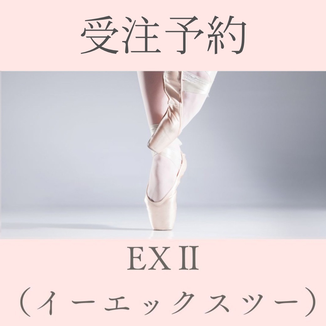 画像1: 【受注予約】EXII ★加工なし★ (1)